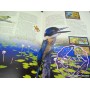 Australia 1999 Deluxe Yearbook Album with all Stamps FV$44.60 Australia 1999 Deluxe Yearbook Album with all Stamps FV$44.60